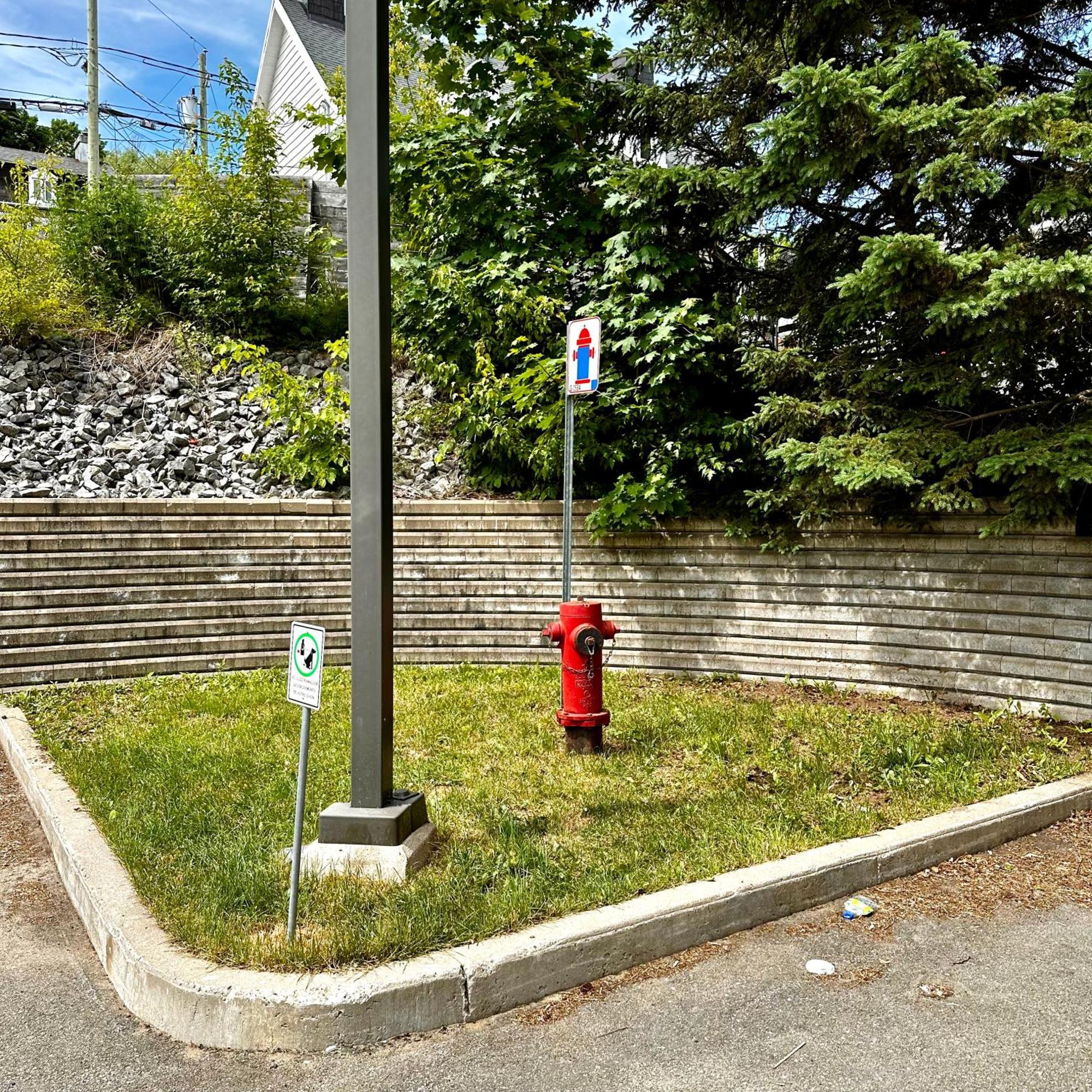 Initial - Road Trip - Chutes-Montmorency - Vue Fleuve Saint-Jean-de-Boischâtel エクステリア 写真